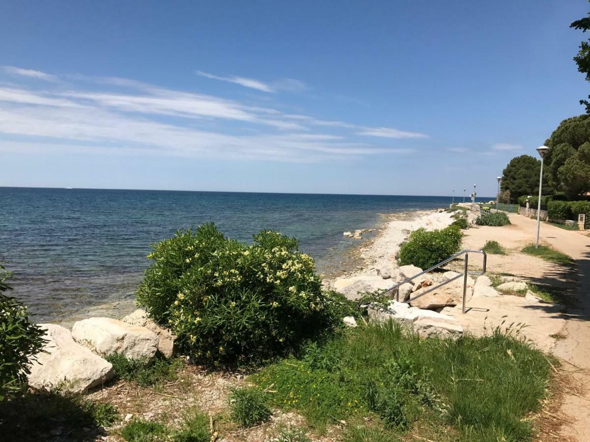 Todor Seaside Apartments Lovrečica Esterno foto